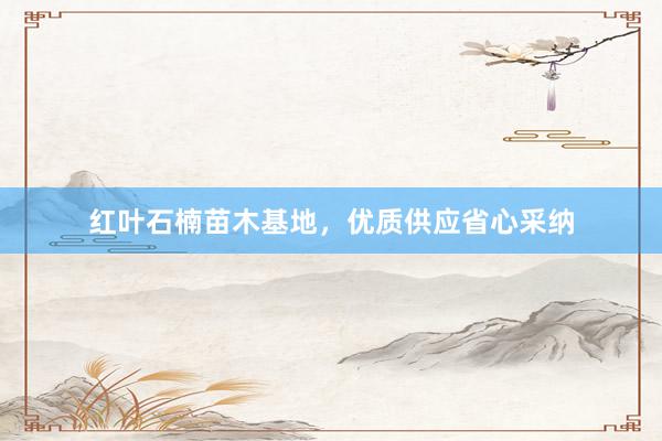 红叶石楠苗木基地,优质供应省心采纳