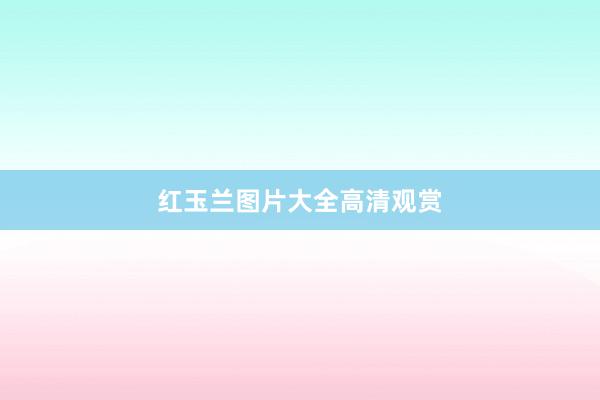 红玉兰图片大全高清观赏