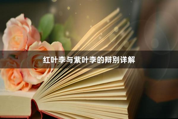 红叶李与紫叶李的辩别详解