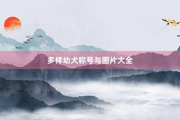 多样幼犬称号与图片大全