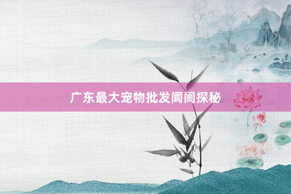 广东最大宠物批发阛阓探秘