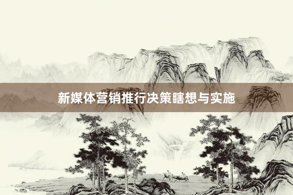 新媒体营销推行决策瞎想与实施